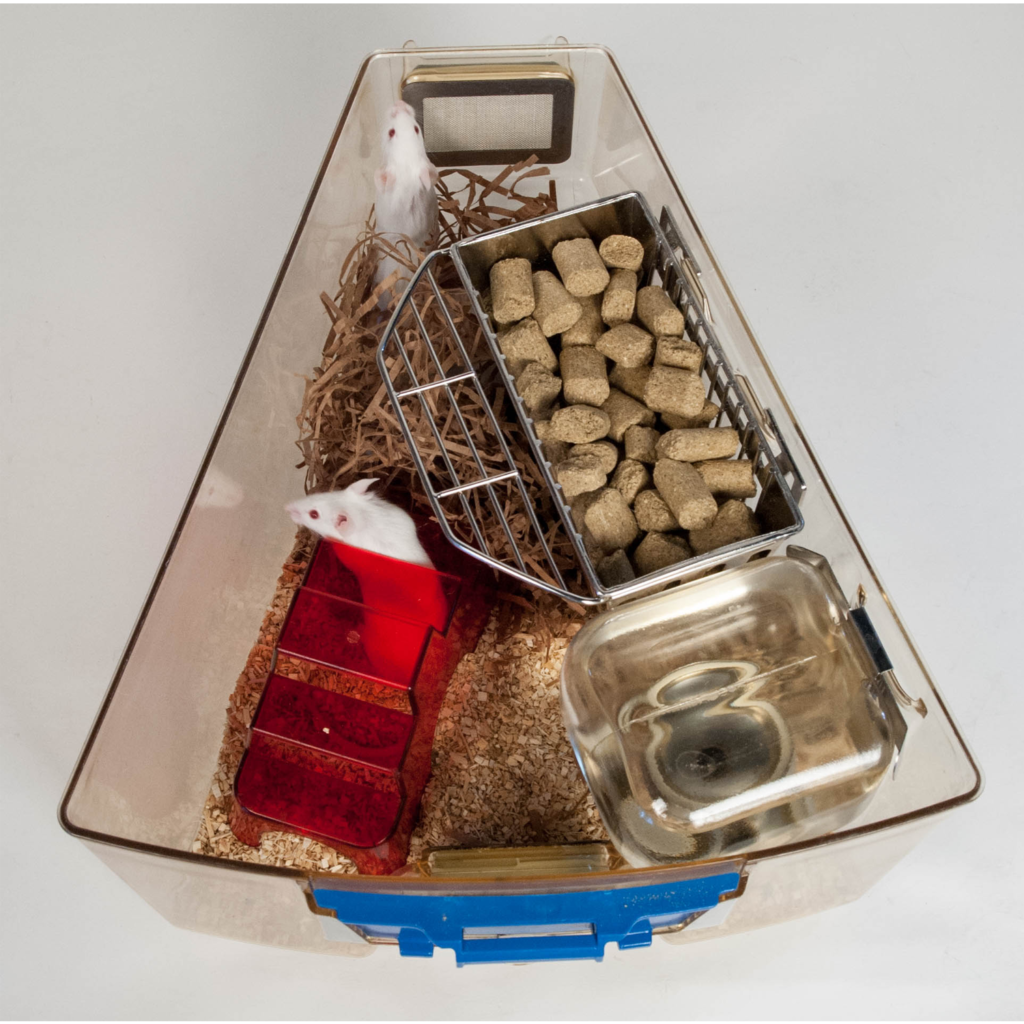 Optimice Large Feeder with Scruffing Grid - Animal Care Systems