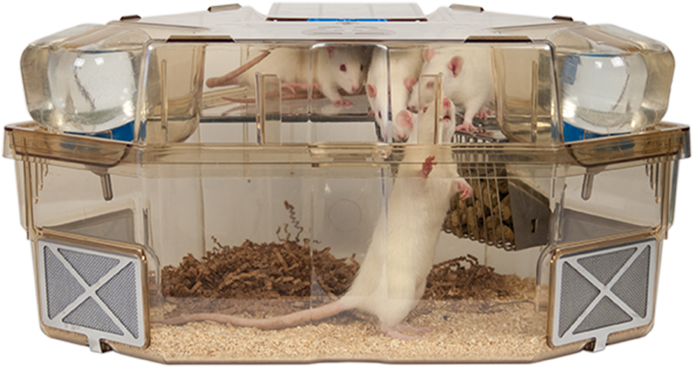 Optirat Plus with rat standing upright and rats on shelf