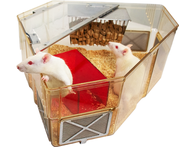 Video: mouse cage enrichment :: Understanding Animal Research